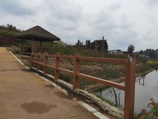 湖边步道与木质围栏景观