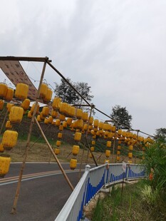 路旁悬挂的黄色灯笼景观