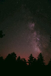 夜幕下的森林与璀璨星河