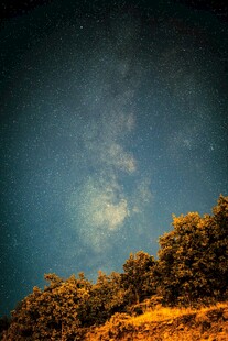 夜空下的金黄树林