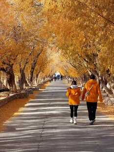 秋日林间漫步的温馨画面