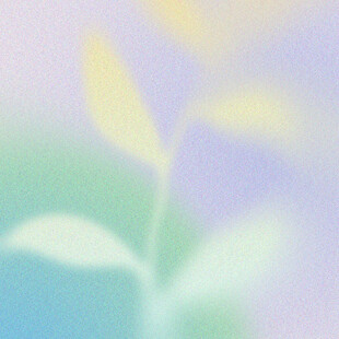 梦幻朦胧的植物景象