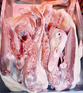 生鸭肉
