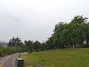 公园中的蜿蜒小路与绿地