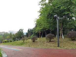 公园中蜿蜒的红砖步道