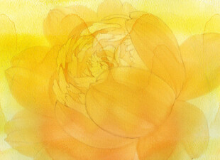 梦幻黄色花卉水彩画