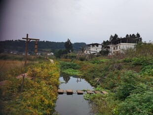 乡村小河畔的自然景致