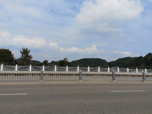 宽阔公路旁的白色护栏