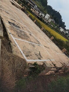 废弃石墙旁的田园景象