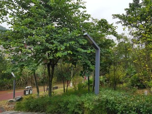 公园绿植中的现代路灯