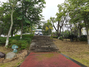 公园中的红径绿树景致