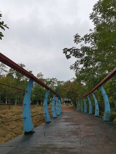 蓝红相间的林间步道