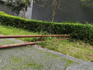 倒下的路边护栏