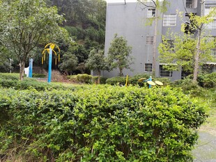 小区内的绿植与休闲设施