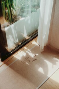 阳光洒落的室内地板一角