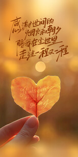 感恩节宣传海报