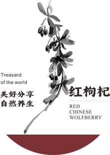 红枸杞自然养生主题图案