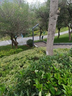 公园绿植景观一角