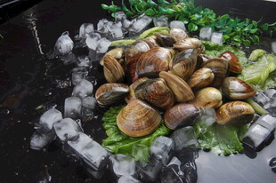 冰镇新鲜螺蛳配翠绿生菜