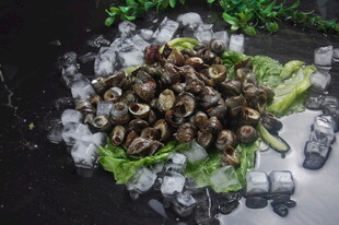 冰镇螺蛳配生菜