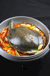 美味锅中甲鱼