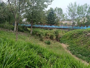 山间蓝桥旁的葱郁草地