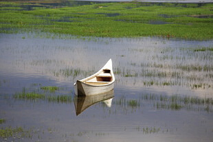 宁静湖面的孤独小船