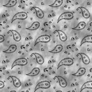 佩斯利花纹图案背景