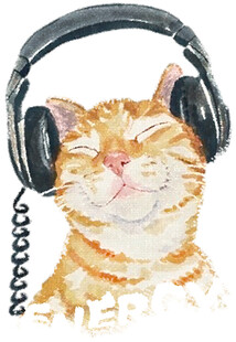 戴耳机的惬意猫咪