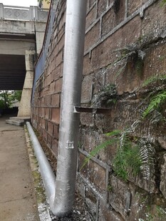 墙边金属管道与绿植景象