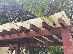 户外木质花架局部特写