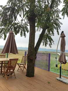 户外露台休闲惬意场景