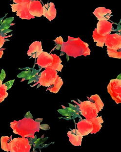 红色花卉黑色背景图案