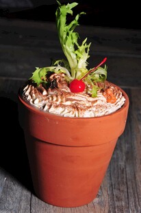 陶盆中的创意绿植甜点