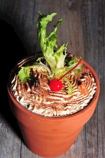 陶盆中的多彩盆栽蔬菜