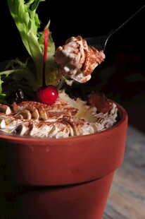 盆栽美食一勺美味诱