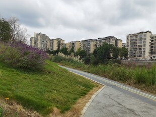 城郊小路旁的住宅楼景观
