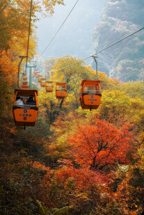秋日缆车穿梭于斑斓山林