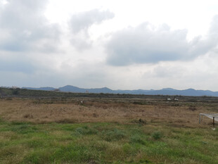 广袤原野上的开阔风景