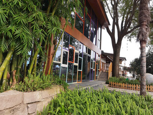 现代绿植环绕的特色建筑