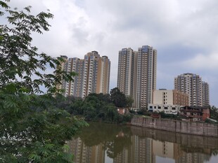 河畔高楼林立的城市景致