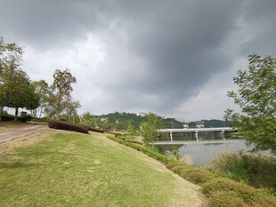 湖畔阴云下的自然景致