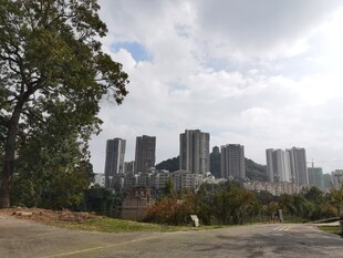 城市天际线与周边自然景观