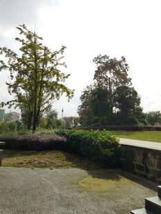 户外静谧绿植景观