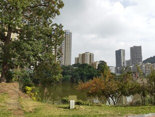 城市湖畔自然风光美景