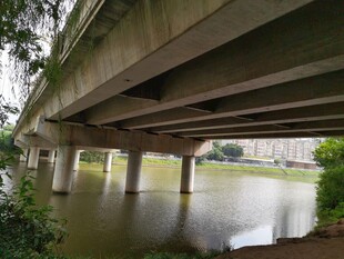 桥下河水泛滥景象