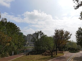 城市公园的宁静风光