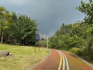 林间彩色骑行道自然美景