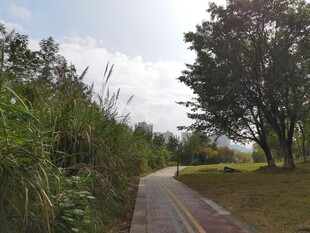 林间小径自然风光旖旎