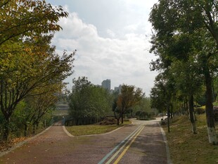 秋日林间蜿蜒小路